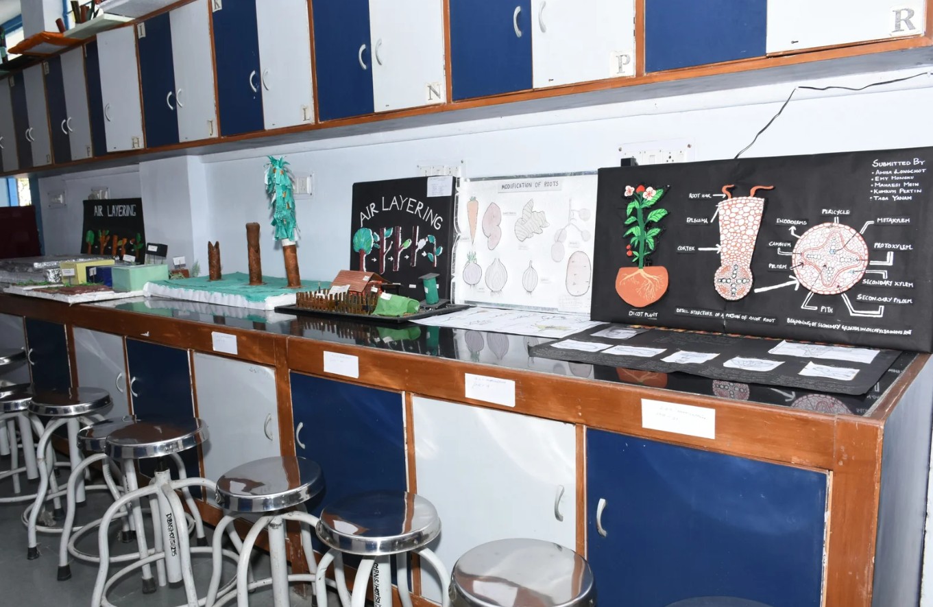 Dolphin (PG) Institute of Biomedical & Natural Sciences