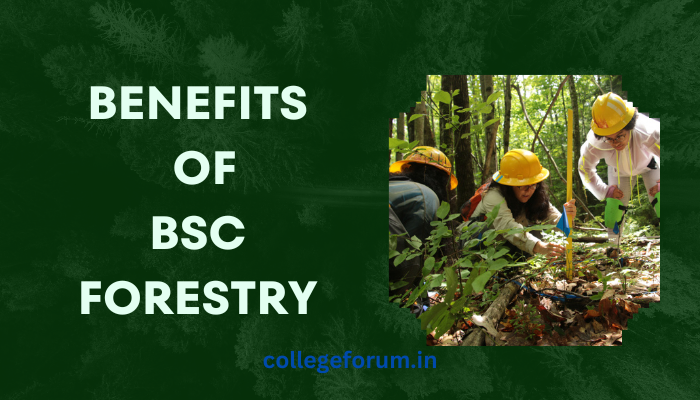 benefits of Bsc forestry