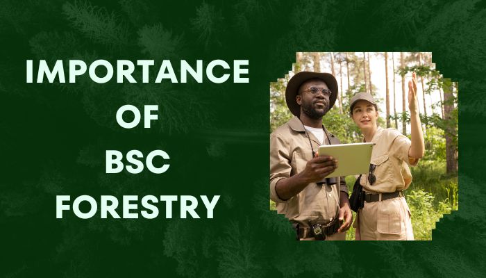 importance of Bsc forestry