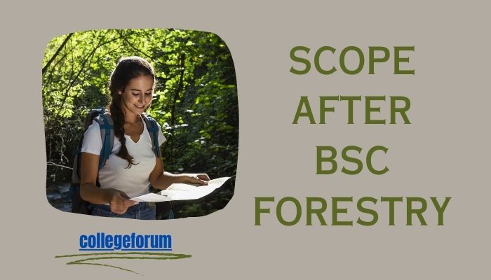 a banner about scope after bsc forestry
