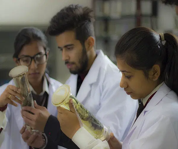 Sai group of Institutions