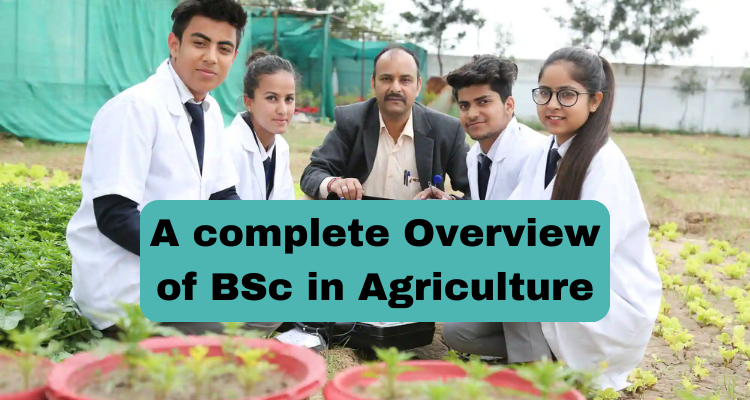 A complete overview of BSc in agriculture