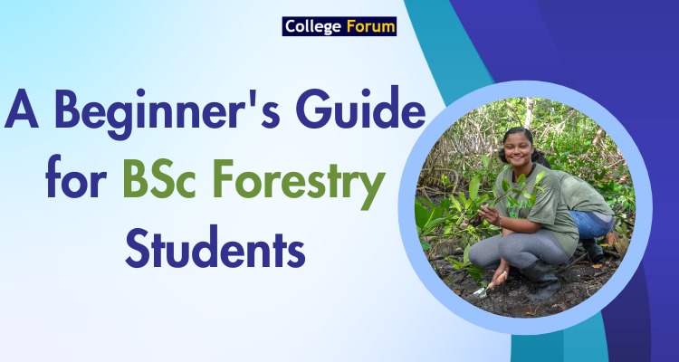 Bsc Forestry