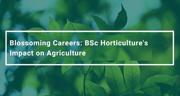 BSc Horticulture
