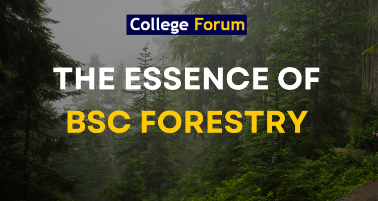 bsc forestry