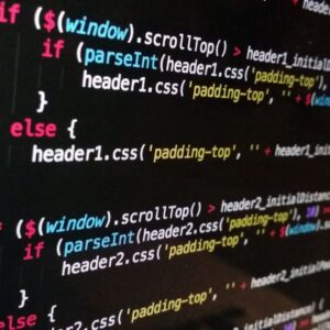 Top Programming Languages